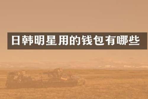 日韩明星用的钱包有哪些