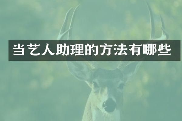 当艺人助理的方法有哪些