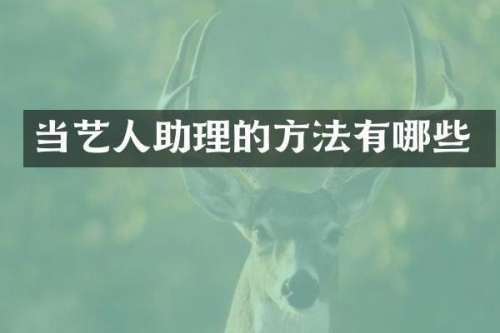 当艺人助理的方法有哪些