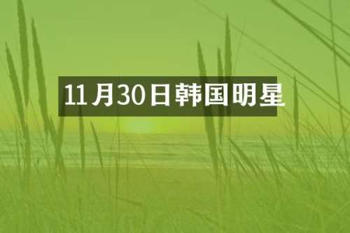 11月30日韩国明星