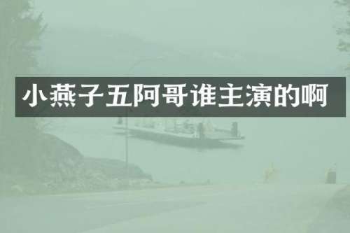 小燕子五阿哥谁主演的啊