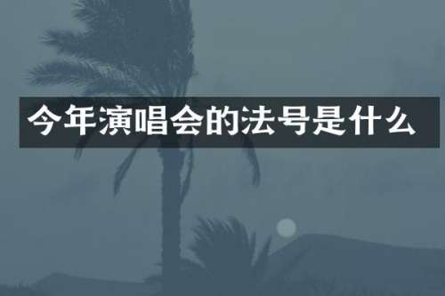 今年演唱会的法号是什么