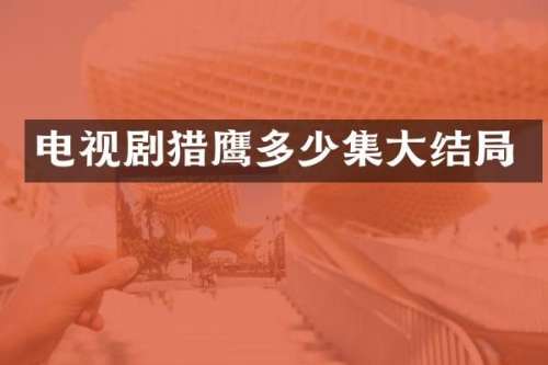 电视剧猎鹰多少集大结局