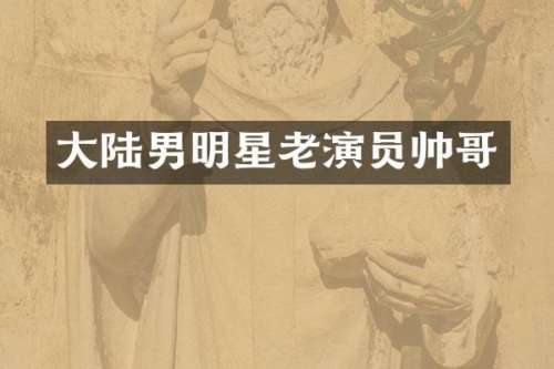 大陆男明星老演员帅哥