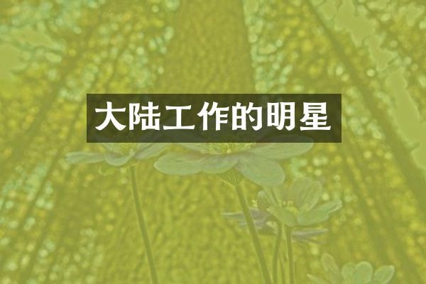 大陆工作的明星