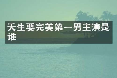 天生要完美第一男主演是谁