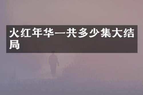 火红年华一共多少集大结局
