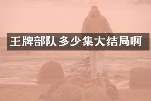 王牌部队多少集大结局啊