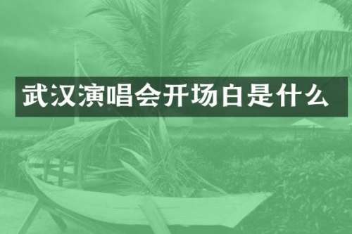 武汉演唱会开场白是什么