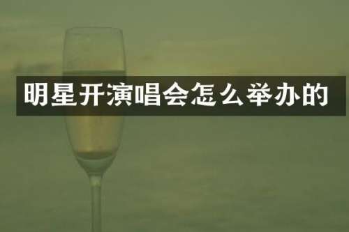 明星开演唱会怎么举办的