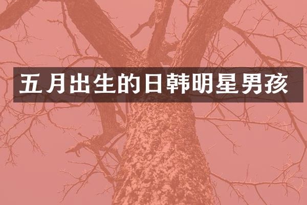 五月出生的日韩明星男孩