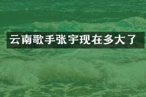 云南歌手张宇现在多大了