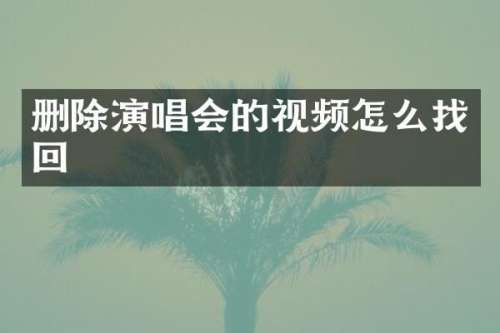 删除演唱会的视频怎么找回