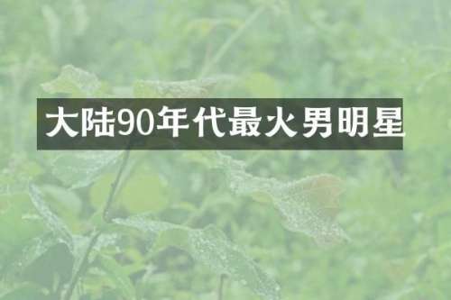 大陆90年代最火男明星