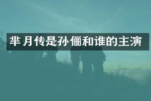 芈月传是孙俪和谁的主演