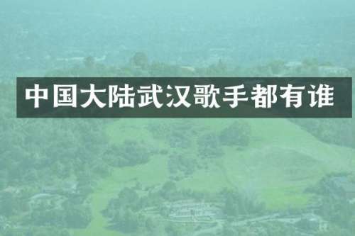 中国大陆武汉歌手都有谁
