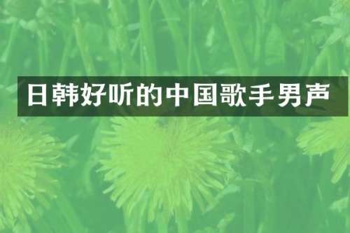 日韩好听的中国歌手男声