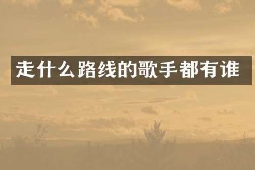走什么路线的歌手都有谁