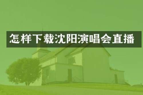 怎样下载沈阳演唱会直播