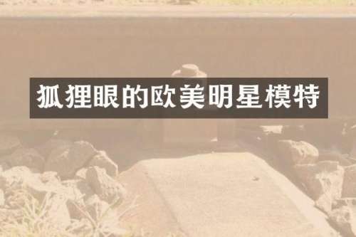狐狸眼的欧美明星模特