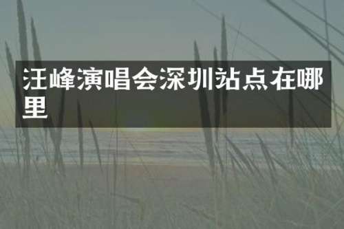 汪峰演唱会深圳站点在哪里