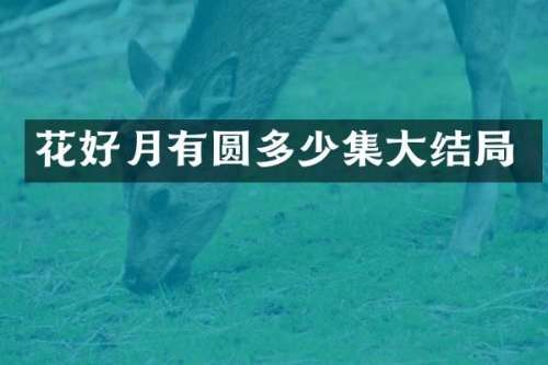 花好月有圆多少集大结局