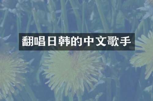 翻唱日韩的中文歌手
