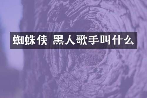 蜘蛛侠 黑人歌手叫什么
