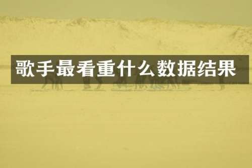 歌手最看重什么数据结果