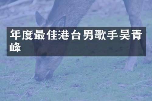年度最佳港台男歌手吴青峰