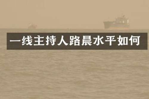 一线主持人路晨水平如何