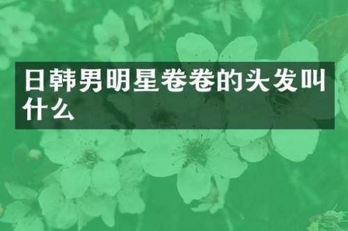 日韩男明星卷卷的头发叫什么