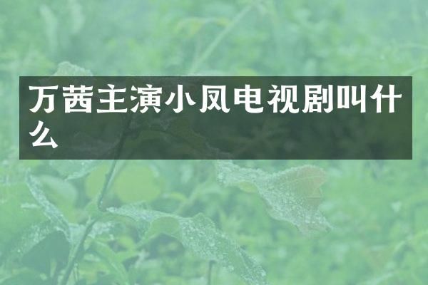 万茜主演小凤电视剧叫什么