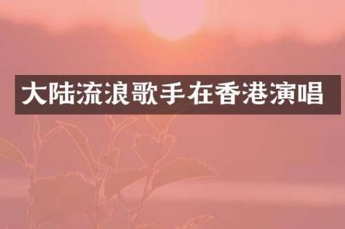 大陆流浪歌手在香港演唱