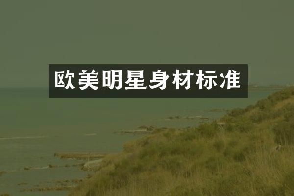 欧美明星身材标准