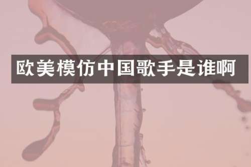 欧美模仿中国歌手是谁啊