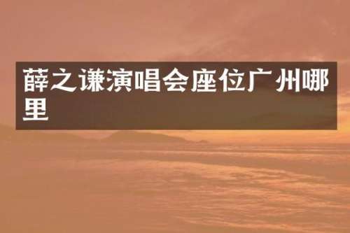 薛之谦演唱会座位广州哪里
