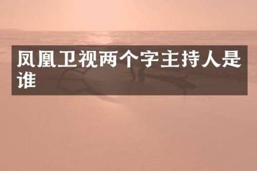 凤凰卫视两个字主持人是谁