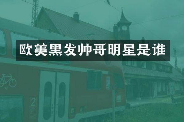 欧美黑发帅哥明星是谁