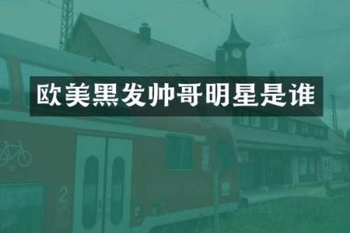 欧美黑发帅哥明星是谁