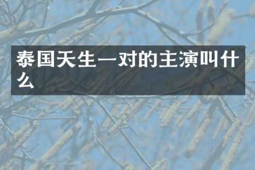 泰国天生一对的主演叫什么