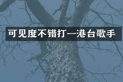 可见度不错打一港台歌手