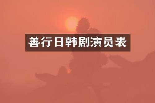 善行日韩剧演员表