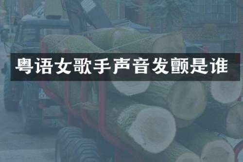 粤语女歌手声音发颤是谁