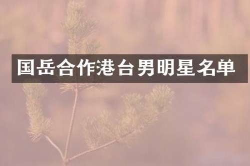 国岳合作港台男明星名单