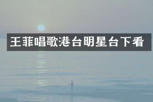 王菲唱歌港台明星台下看