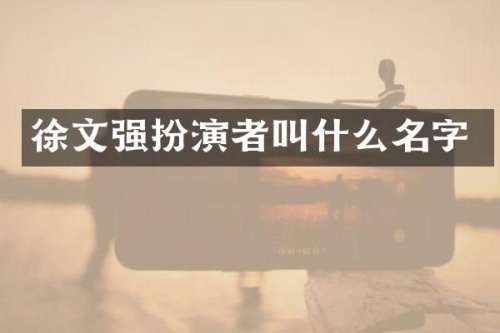 徐文强扮演者叫什么名字