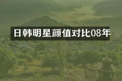 日韩明星颜值对比08年