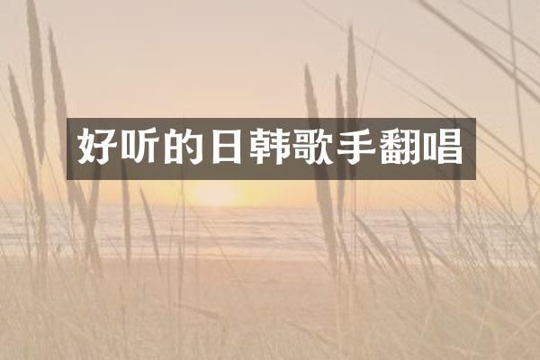 好听的日韩歌手翻唱