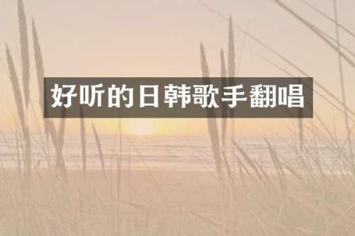 好听的日韩歌手翻唱